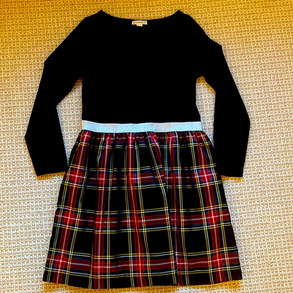 JCrew Holiday Dress